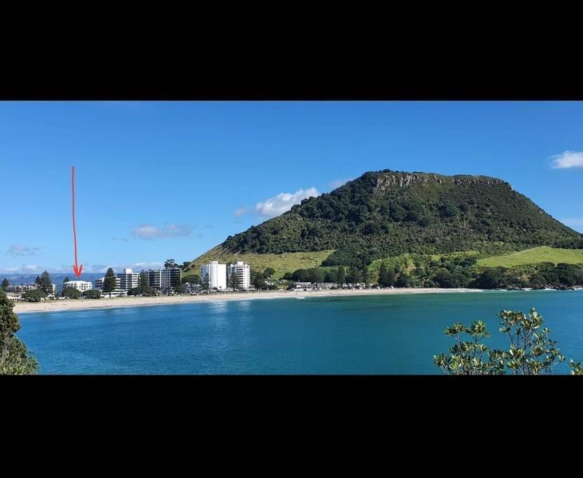 Fabulous Apartment In The Atrium, Mt Maunganui Mount Maunganui Εξωτερικό φωτογραφία